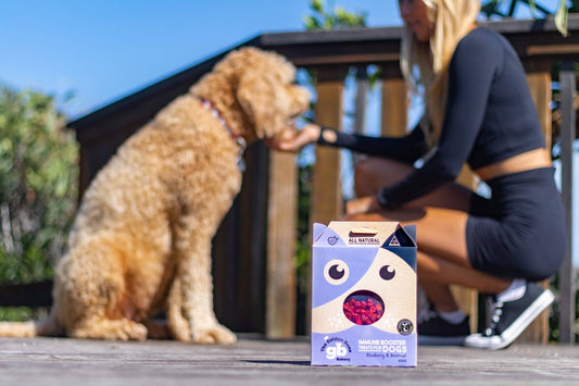 Five things to check before buying your dog a treat