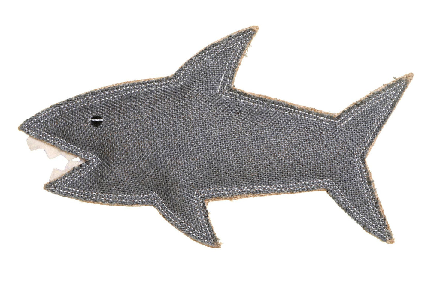 Shazza the great white shark
